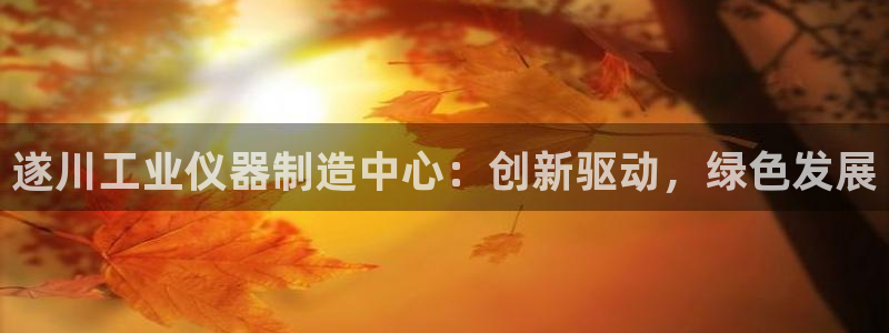 传奇电子CQ9技巧：遂川工业仪器制造中心：创新驱动，绿色发展