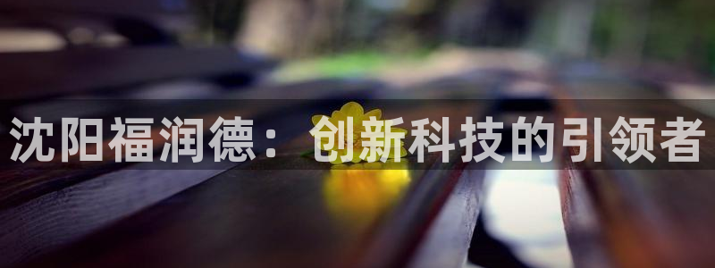 电子cq9视频：沈阳福润德：创新科技的引领者